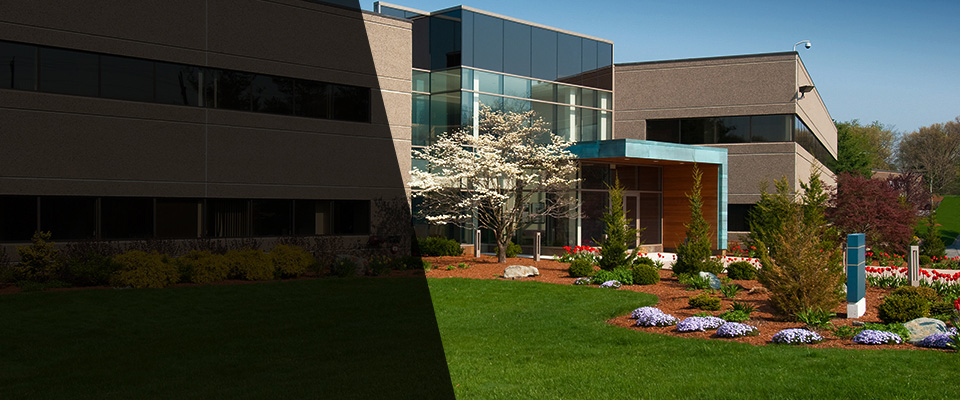 Weedsport Landscapers