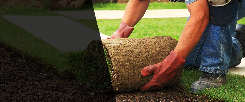 Weedsport Landscapers